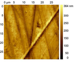 (Figures 1 and 2) AFSEM image of a polymer surface obtained in contact mode.